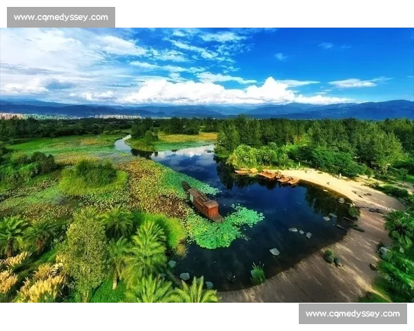 生态共建共享:推动人与自然和谐共生的可持续发展路径探索